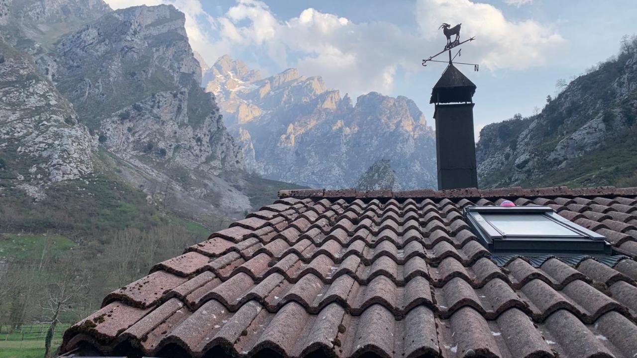Casa Cuevas Otel Caín Dış mekan fotoğraf